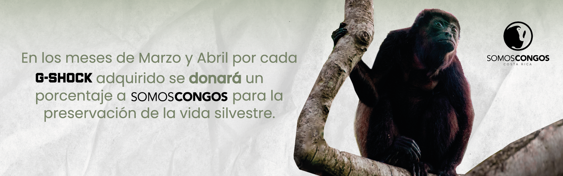 Banner Somos Congos_Mesa de trabajo 1
